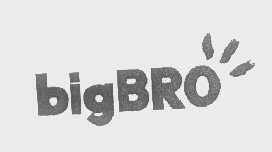 商标名称BIGBRO商标注册号 1356855、商标申请人大连西岗兄弟贸易商行的商标详情 - 标库网商标查询