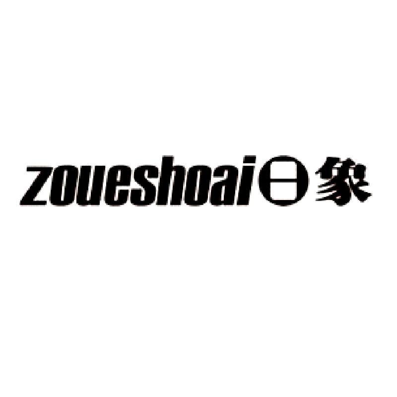 商标名称日象 ZOUESHOAI商标注册号 10167718、商标申请人宁波圣得利仪表有限公司的商标详情 - 标库网商标查询