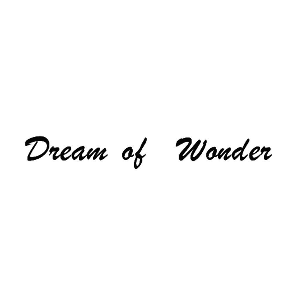 商标文字dream of wonder商标注册号 18860808,商标申请人江苏正大