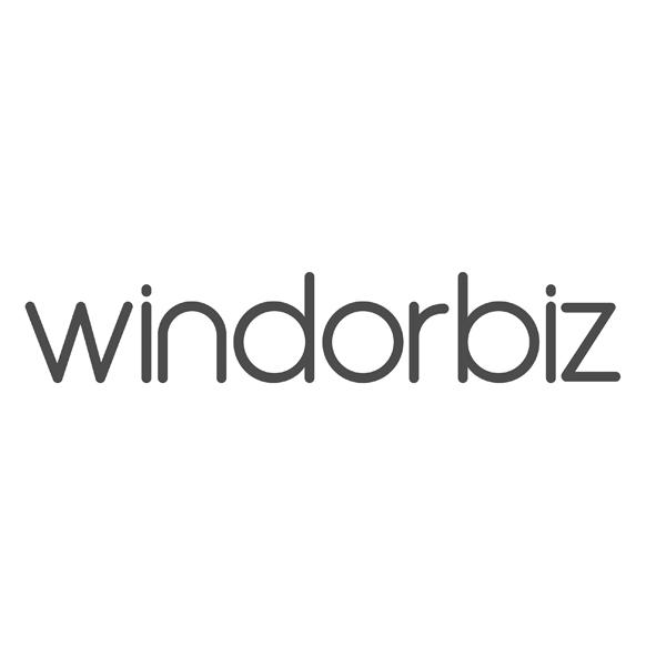 商标名称WINDORBIZ商标注册号 18283328、商标申请人济南德卡信息技术有限公司的商标详情 - 标库网商标查询