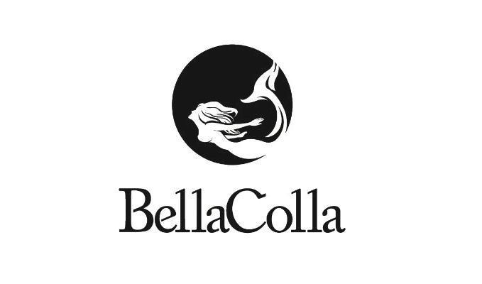 商标名称BELLACOLLA商标注册号 14112631、商标申请人汉里贸易（上海）有限公司的商标详情 - 标库网商标查询