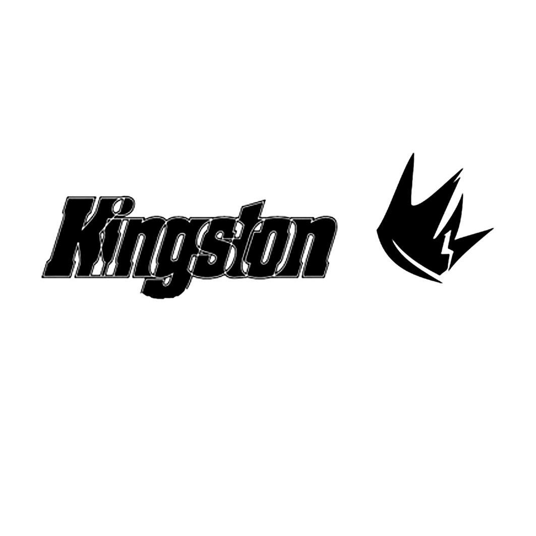 商标名称KINGSTON商标注册号 10360103、商标申请人青岛卓达医疗器械有限公司的商标详情 - 标库网商标查询