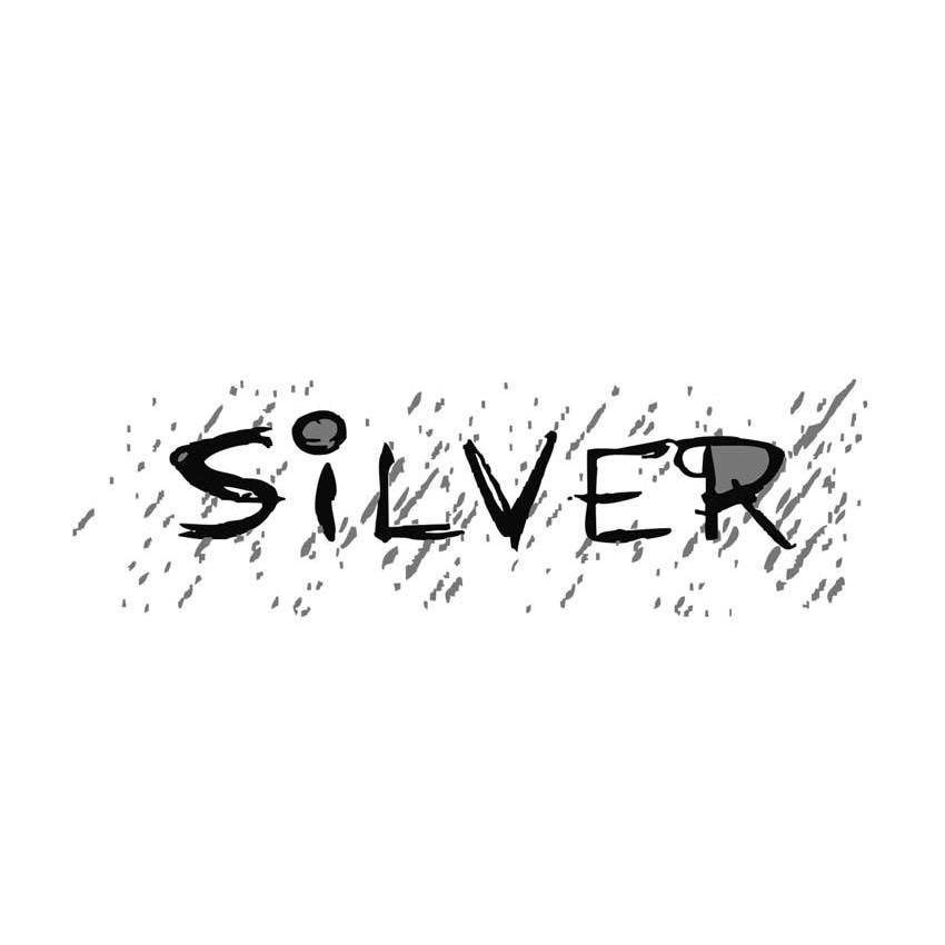 商标名称SILVER商标注册号 11253366、商标申请人宁波赛唯进出口有限公司的商标详情 - 标库网商标查询