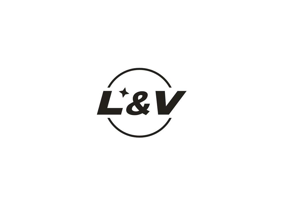 [41类]L&V