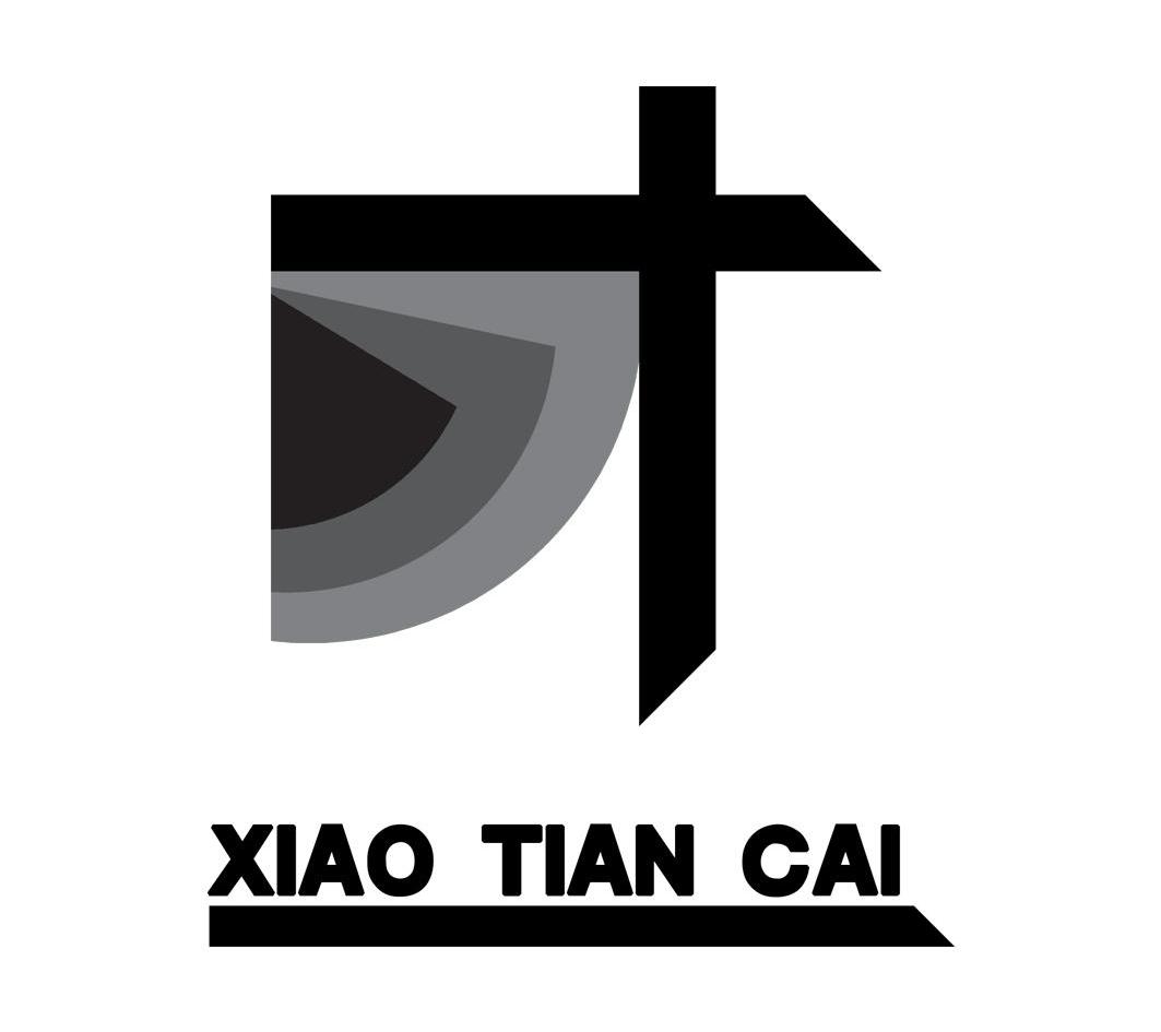 商标名称XIAO TIAN CAI商标注册号 10474161、商标申请人山东小天才文化艺术传媒有限公司的商标详情 - 标库网商标查询