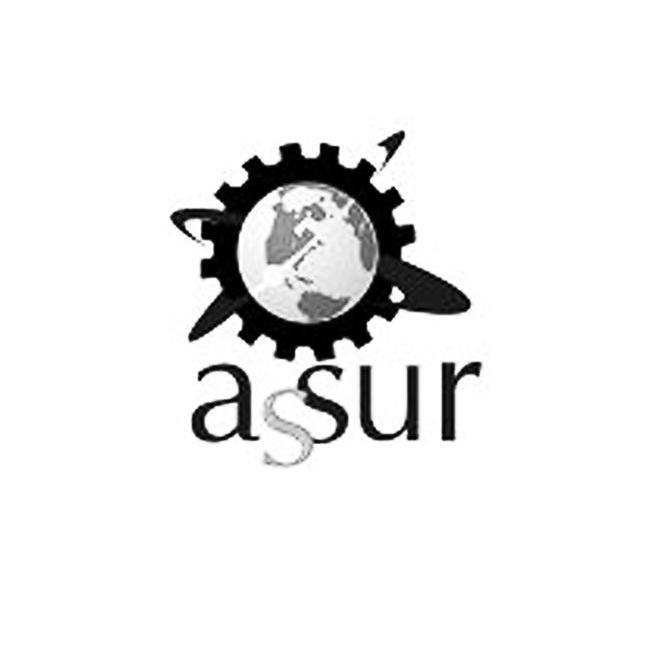 商标名称ASSUR商标注册号 13675072、商标申请人宁波安纳托利亚进出口有限公司的商标详情 - 标库网商标查询