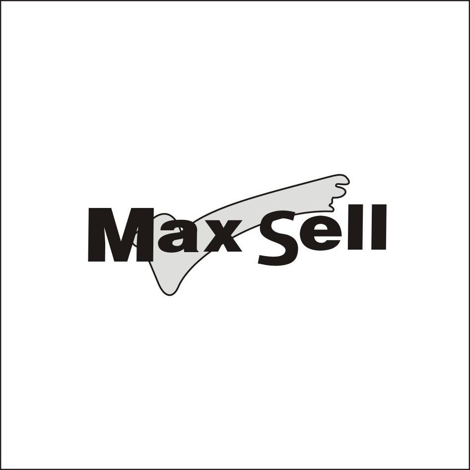 商标名称MAX SELL商标注册号 12310940、商标申请人乐清市力辉工具有限公司的商标详情 - 标库网商标查询