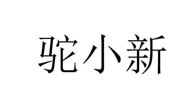 商标文字驼小新商标注册号 53938144,商标申请人新城控股集团股份有限