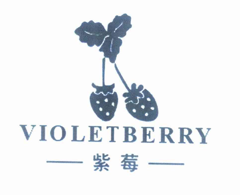商标名称紫莓 VIOLETBERRY商标注册号 10291556、商标申请人沈益兵的商标详情 - 标库网商标查询