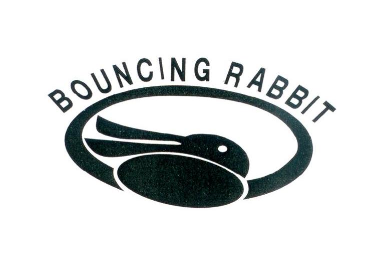 商标名称BOUNCING RABBIT商标注册号 10549528、商标申请人张芳兰的商标详情 - 标库网商标查询