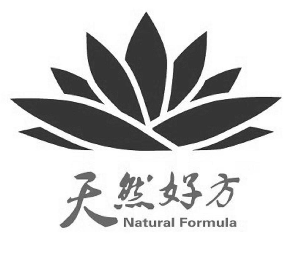商标名称天然好方 NATURAL FORMULA商标注册号 12657225、商标申请人海南一鸿实业发展有限公司的商标详情 - 标库网商标查询