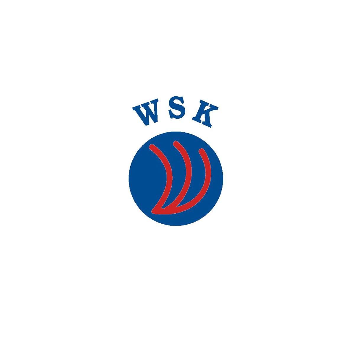 商标名称WSK商标注册号 10522528、商标申请人世界精机株式会社的商标详情 - 标库网商标查询