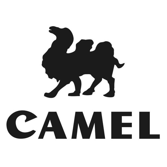 商标名称CAMEL商标注册号 9973894、商标申请人美国骆驼国际集团有限公司的商标详情 - 标库网商标查询