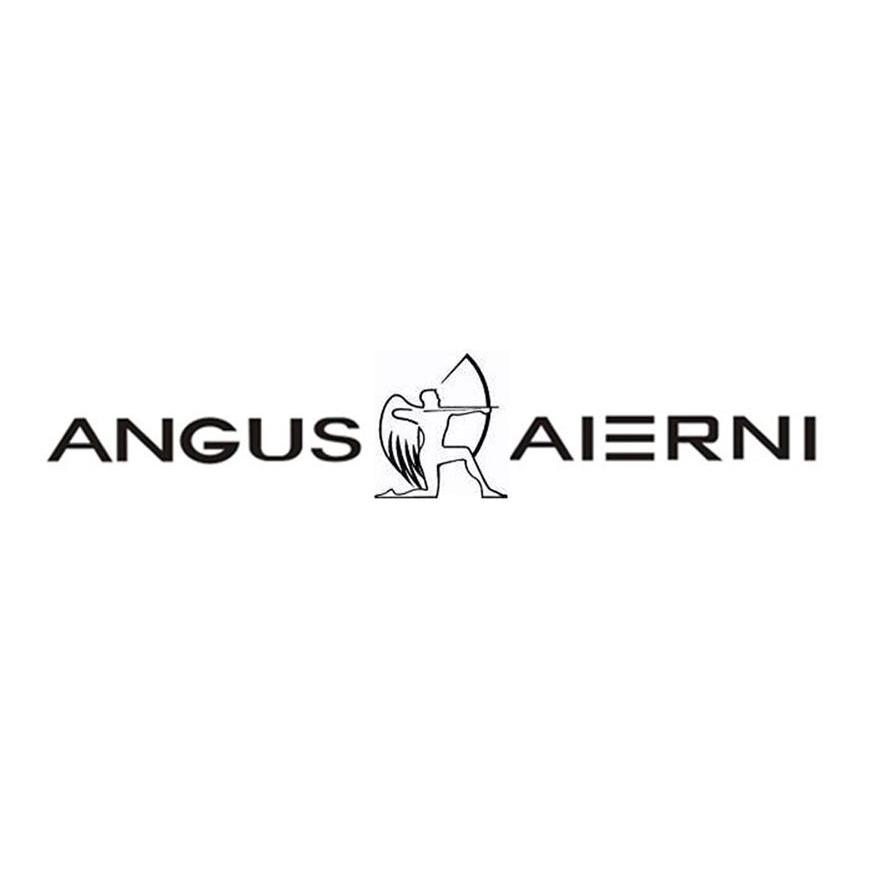 商标名称ANGUS AIERNI商标注册号 11621576、商标申请人宁波爱尔妮集团有限公司的商标详情 - 标库网商标查询