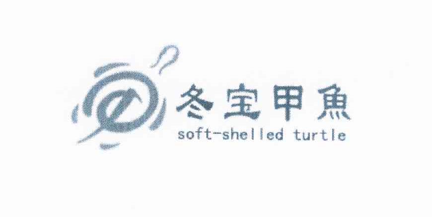 商标名称冬宝甲鱼 SOFT-SHELLED TURTLE商标注册号 10811239、商标申请人张英的商标详情 - 标库网商标查询