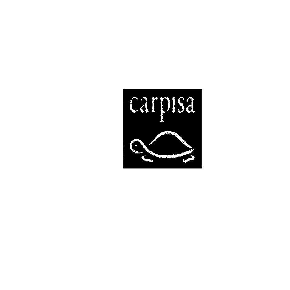 商标名称CARPISA商标注册号 9812587、商标申请人深圳市鼎视光学有限公司的商标详情 - 标库网商标查询