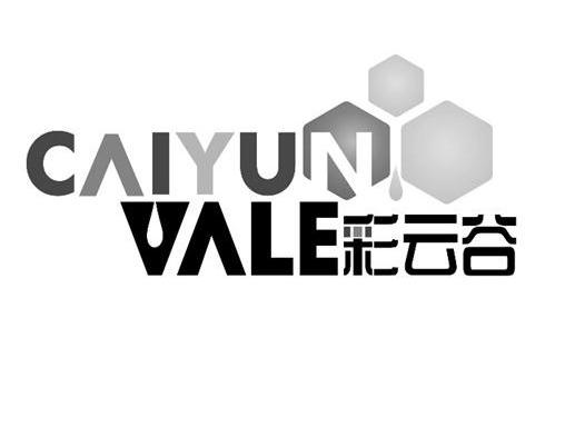 商标名称彩云谷 CAIYUN VALE商标注册号 10179770、商标申请人刘波的商标详情 - 标库网商标查询