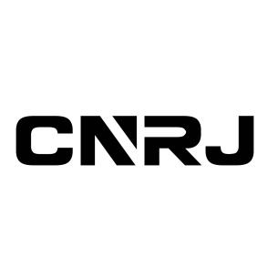 商标名称CNRJ商标注册号 18265544、商标申请人温州瑞甲洁净设备科技有限公司的商标详情 - 标库网商标查询