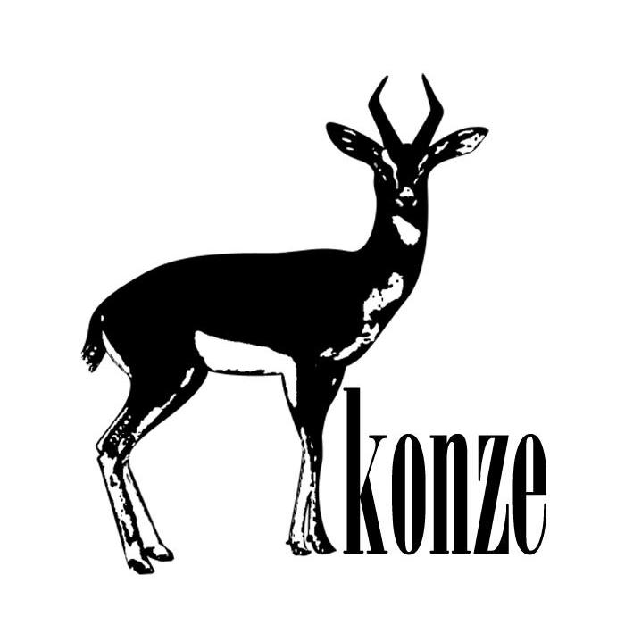商标名称KONZE商标注册号 13347429、商标申请人搜索国际贸易有限公司的商标详情 - 标库网商标查询
