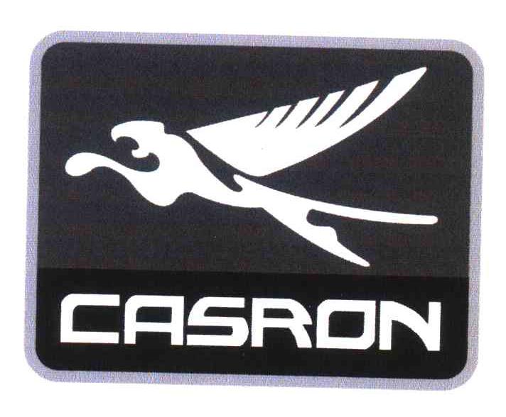 商标名称CASRON商标注册号 5948418、商标申请人江苏龙蟠科技股份有限公司的商标详情 - 标库网商标查询