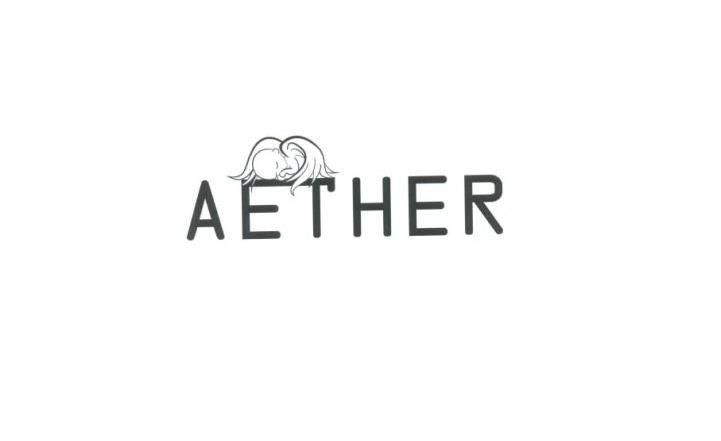 商标名称AETHER商标注册号 13046526、商标申请人雷成时装有限公司的商标详情 - 标库网商标查询