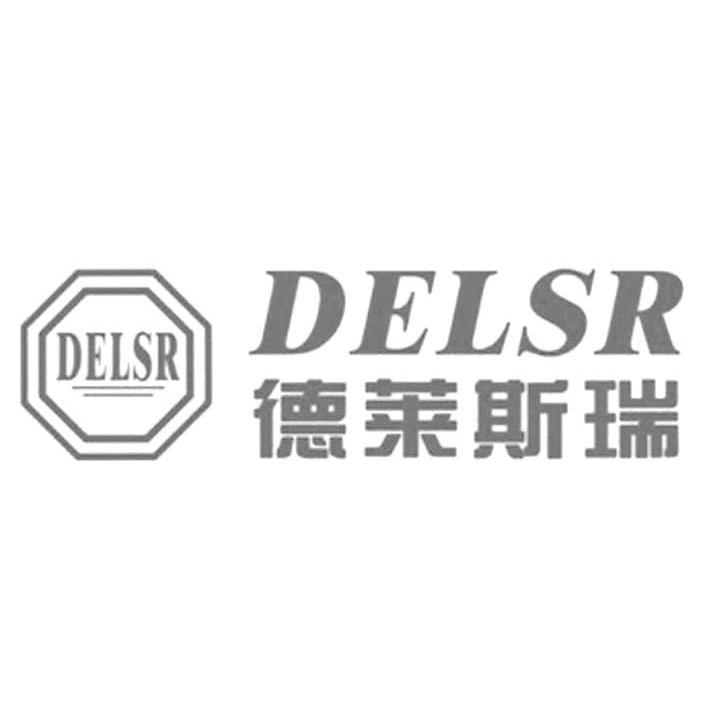 商标名称德莱斯瑞 DELSR商标注册号 11094075、商标申请人深圳市德柏梵贸易有限公司的商标详情 - 标库网商标查询