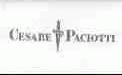 商标名称CESARE PACIOTTI商标注册号 1529215、商标申请人竣跃开发实业有限公司的商标详情 - 标库网商标查询