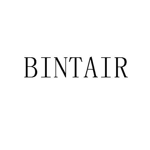 商标名称BINTAIR商标注册号 18270508、商标申请人深圳市德尔创科技有限公司的商标详情 - 标库网商标查询