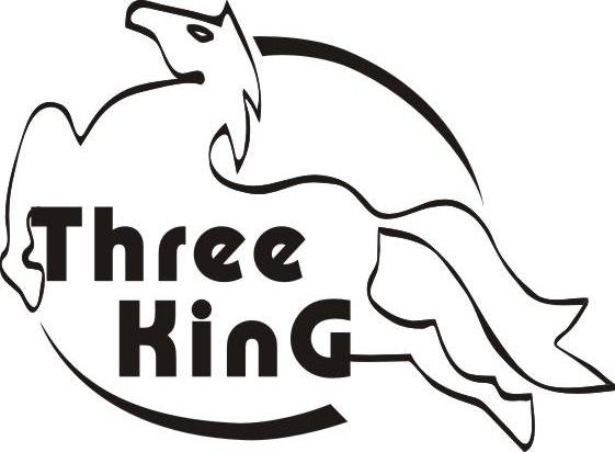 商标名称THREE KING商标注册号 14188890、商标申请人广州金趣域贸易有限公司的商标详情 - 标库网商标查询