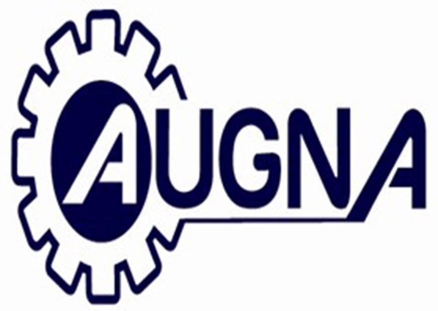 商标名称AUGNA商标注册号 14055720、商标申请人贵州澳格纳汽车零部件有限公司的商标详情 - 标库网商标查询