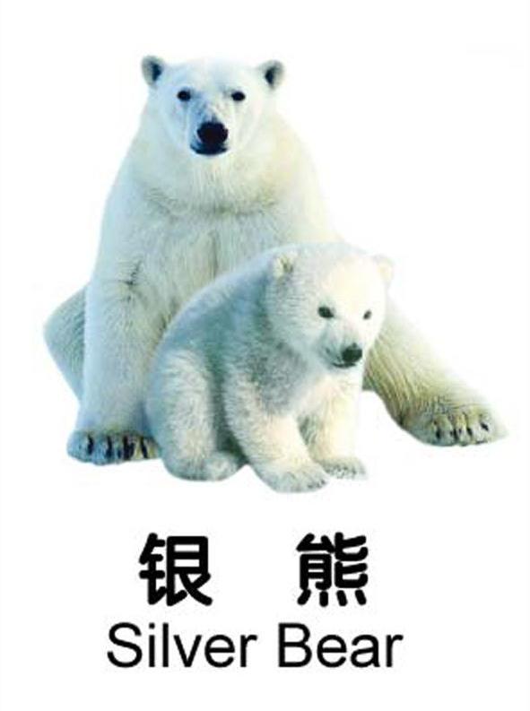 商标名称银熊 SILVER BEAR 商标注册号 7208147、商标申请人上海中华药业南通有限公司的商标详情 - 标库网商标查询