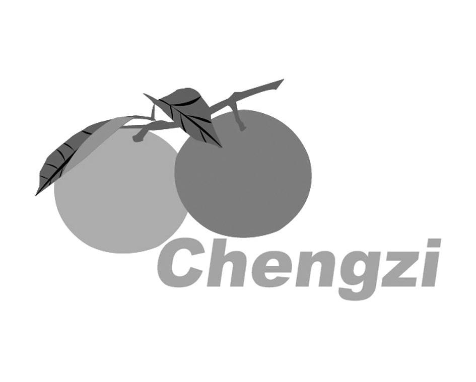 商标名称CHENGZI商标注册号 11514703、商标申请人秭归县屈姑食品有限公司的商标详情 - 标库网商标查询