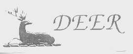 商标名称DEER商标注册号 1329330、商标申请人中山市小榄镇创星电器厂的商标详情 - 标库网商标查询