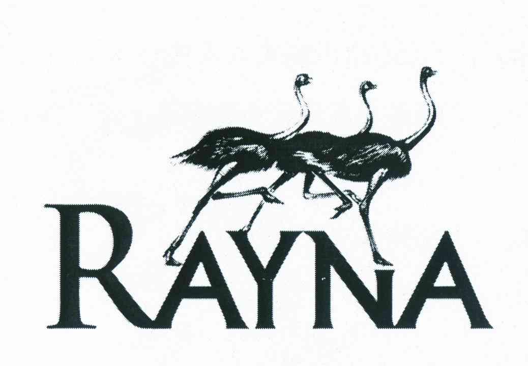 商标名称RAYNA商标注册号 11288425、商标申请人上海珺人靓皮具有限公司的商标详情 - 标库网商标查询