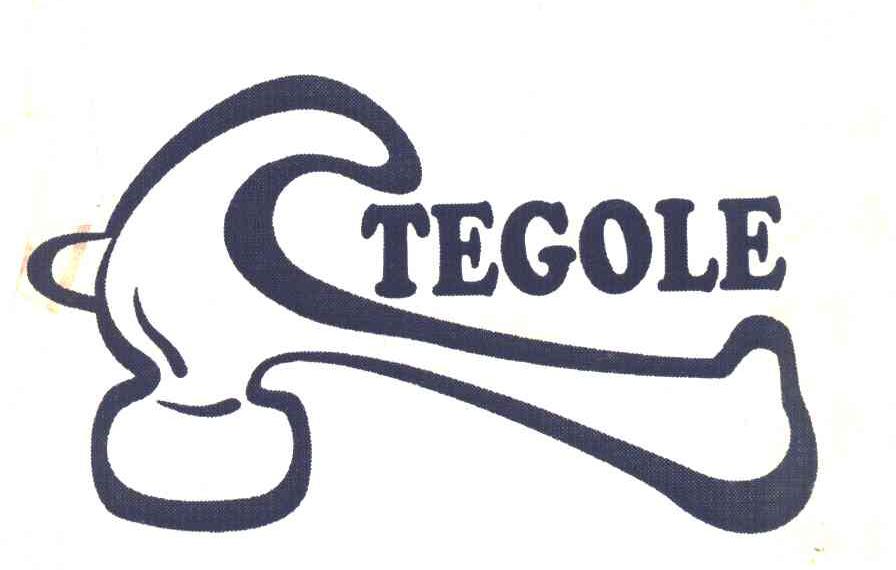 商标名称TEGOLE商标注册号 7343658、商标申请人蔡昭平的商标详情 - 标库网商标查询