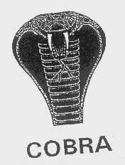 商标名称COBRA商标注册号 1147209、商标申请人城堡锁业股份有限公司的商标详情 - 标库网商标查询