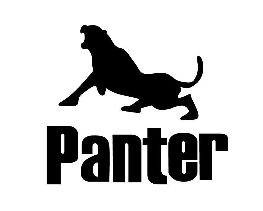 商标名称PANTER商标注册号 10351743、商标申请人奥耐克（福建）体育用品有限公司的商标详情 - 标库网商标查询