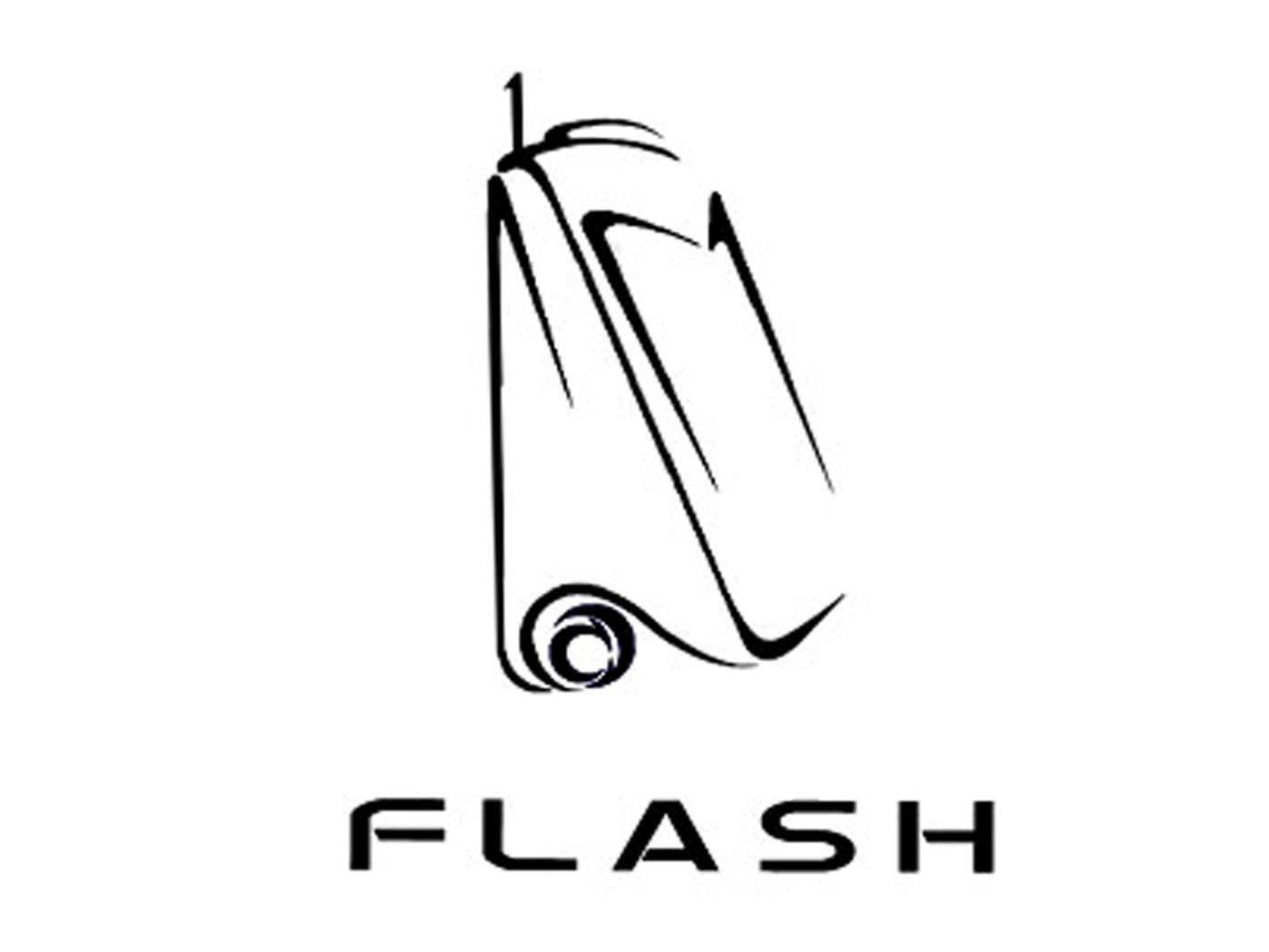 商标名称FLASH商标注册号 9306307、商标申请人深圳市盛腾实业有限公司的商标详情 - 标库网商标查询