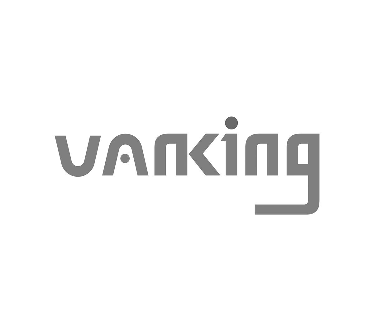 商标文字vanking,商标申请人深圳市万佳鑫科技有限公司