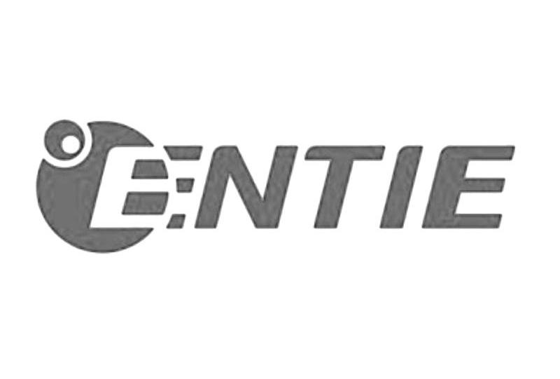 商标名称ENTIE商标注册号 10364123、商标申请人莆田市安泰电子科技有限公司的商标详情 - 标库网商标查询