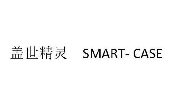 盖世精灵 SMART-CASE