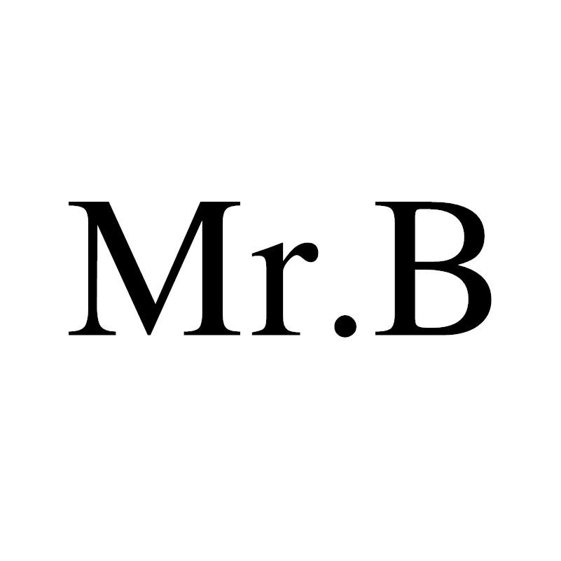 MR.B