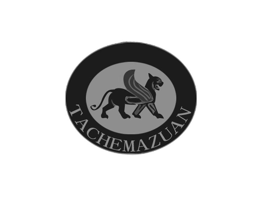 商标名称TACHEMAZUAN商标注册号 12309211、商标申请人宁波市海曙塔斯钻石珠宝有限公司的商标详情 - 标库网商标查询