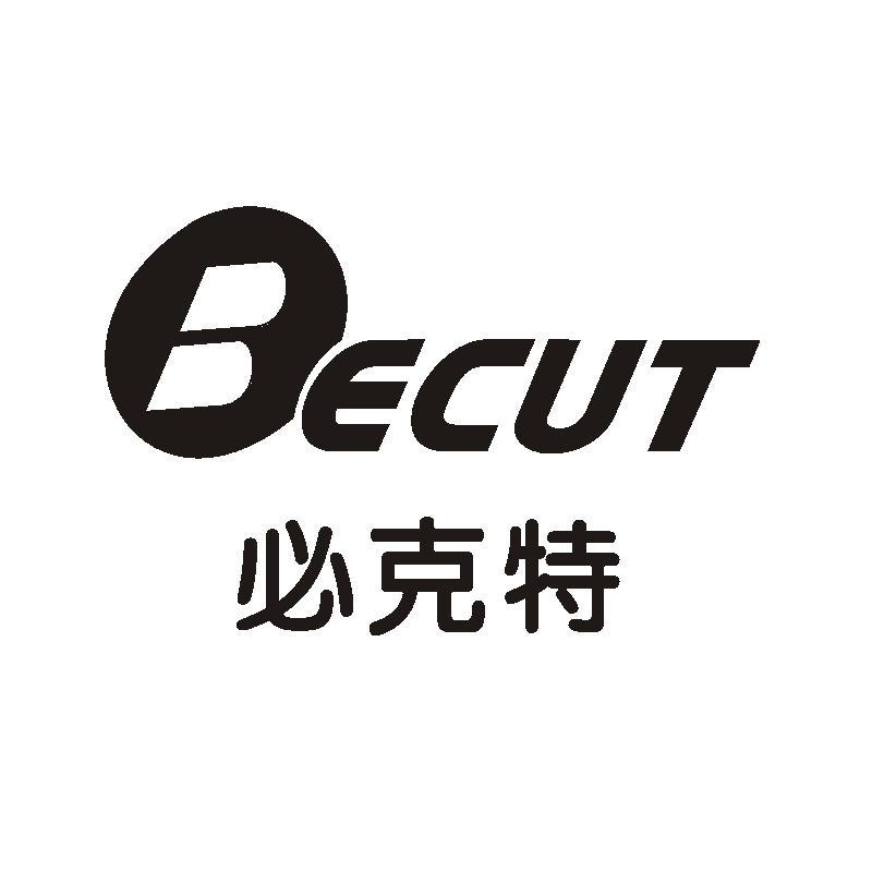 商标名称必克特 BECUT商标注册号 12027754、商标申请人上海必克特新材料科技有限公司的商标详情 - 标库网商标查询