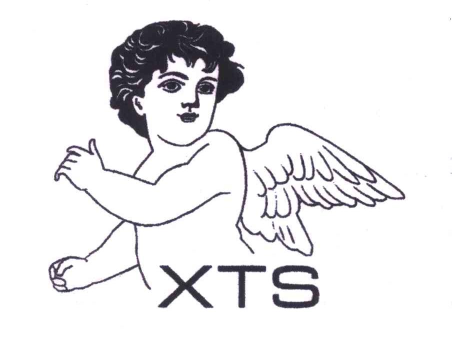 商标名称XTS商标注册号 5050706、商标申请人徐建国的商标详情 - 标库网商标查询