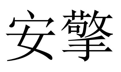 商标文字安擎商标注册号 49484128,商标申请人上海科特新材料股份有限