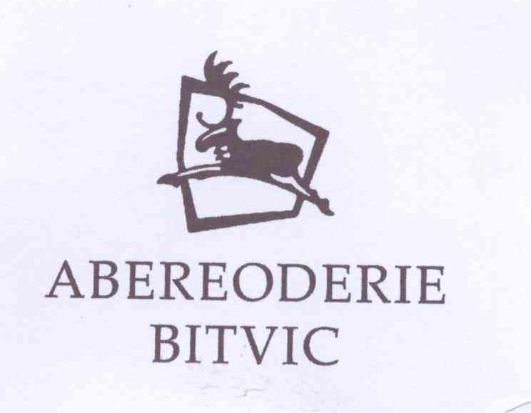商标名称ABEREODERIE BITVIC商标注册号 13409155、商标申请人英国伍赛本社时装控股有限公司的商标详情 - 标库网商标查询
