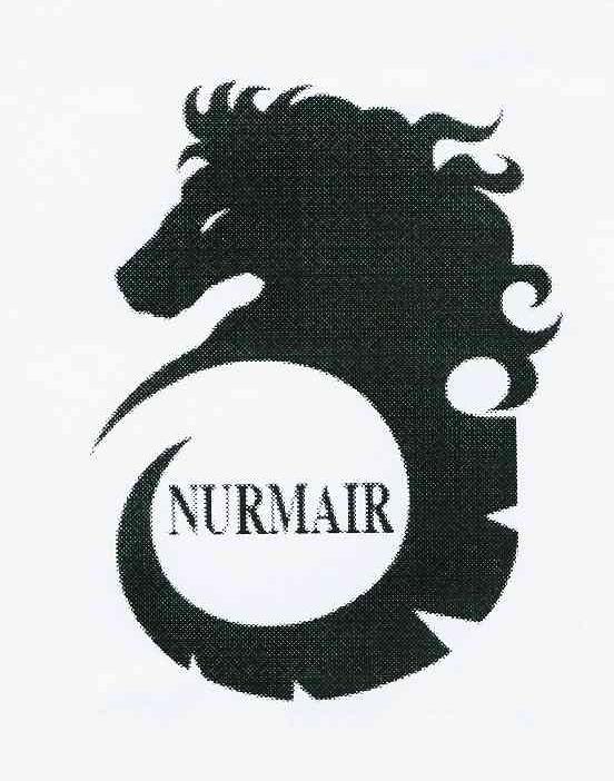 商标名称NURMAIR商标注册号 10272114、商标申请人陈闯的商标详情 - 标库网商标查询