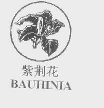商标名称紫荆花   BAUHINA商标注册号 1290092、商标申请人艾尔顿（国际）烟草有限公司的商标详情 - 标库网商标查询