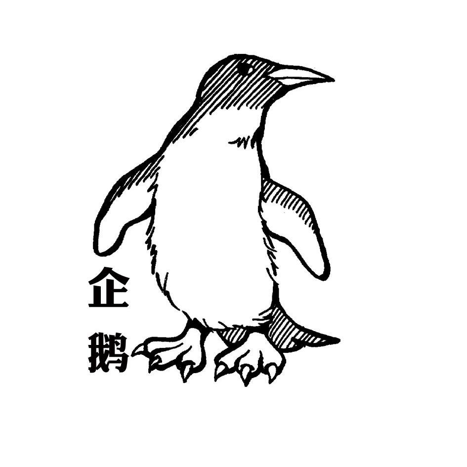 商标名称企鹅商标注册号 14247691、商标申请人烟台金龙投资有限公司的商标详情 - 标库网商标查询